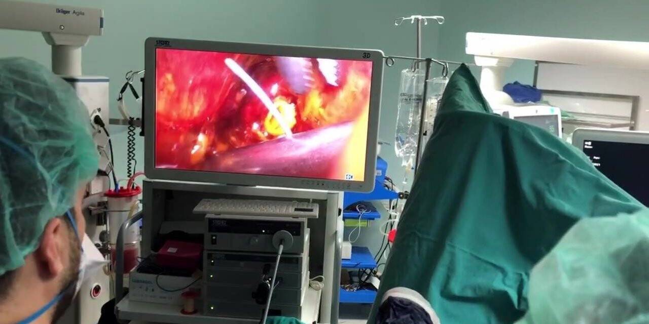 Düzce Üniversitesinden bir ilk daha