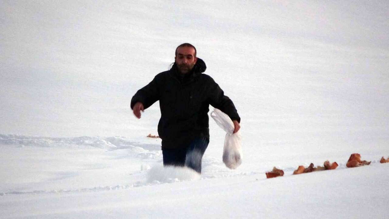 Yaban hayvanları için doğaya ekmek bıraktı