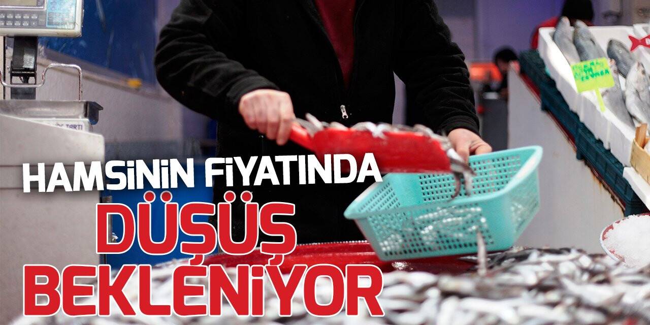 Sıcaklıkların artmasıyla hamsinin fiyatında düşüş bekleniyor