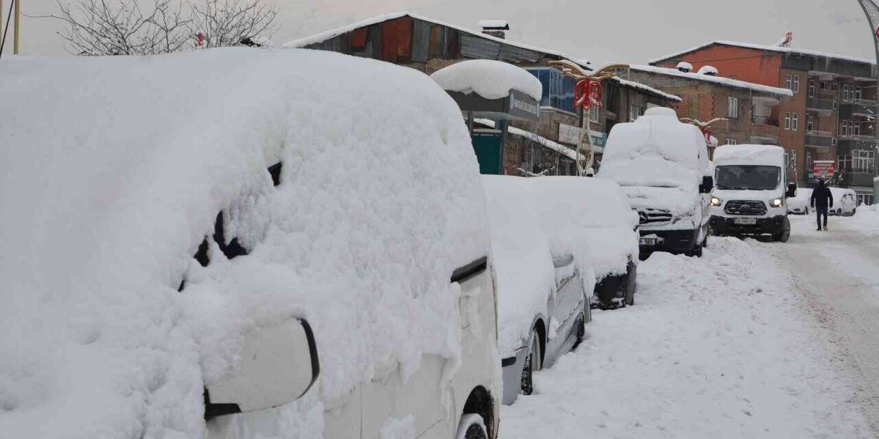 Hakkari’de 81 yerleşim yerinin yolu ulaşıma  kapandı