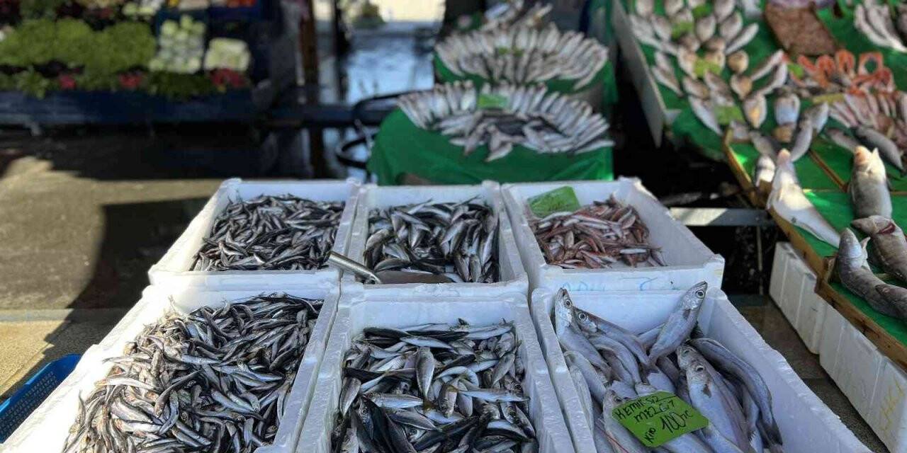 Balık tezgahlarında çeşit çok, balık az