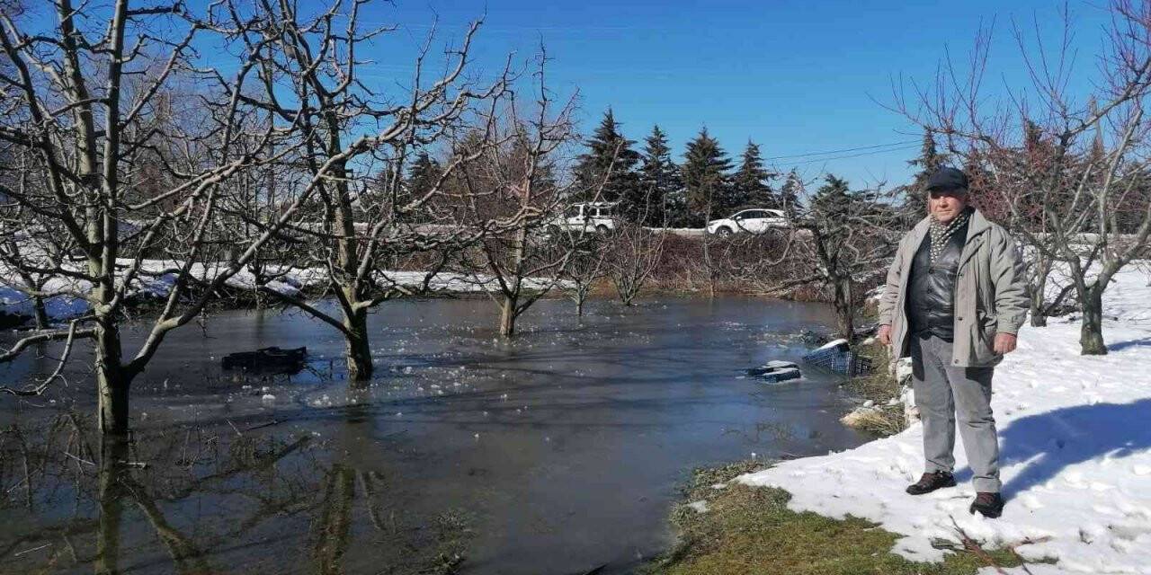 Eğirdirli elma üreticileri yağışlardan memnun