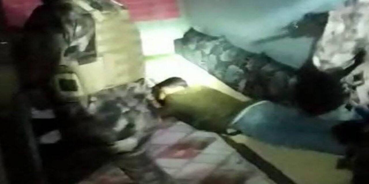 Şanlıurfa’da uyuşturucu operasyonu: 4 tutuklama