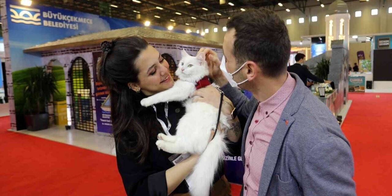 Van standı EMITT’e damga vurdu