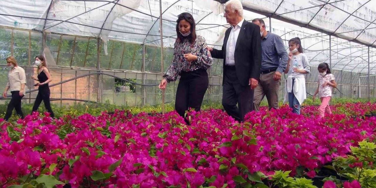 Muğla’da üretilen çiçekler 25 ilin sokaklarını süslüyor