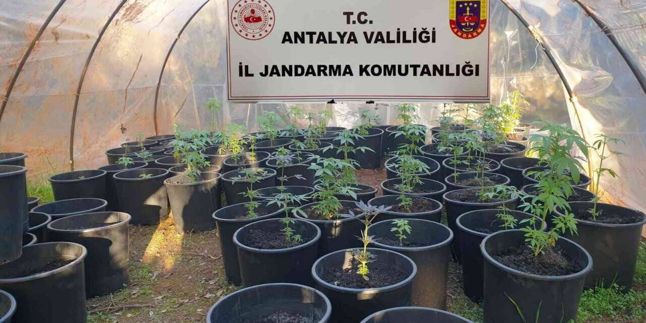 Antalya’da jandarmadan uyuşturucu serasına baskın