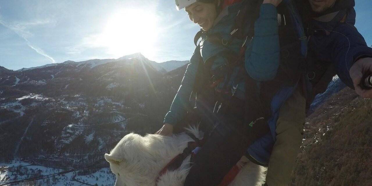 Fransa’da film yapımcısı köpeğiyle yamaç paraşütü yaptı
