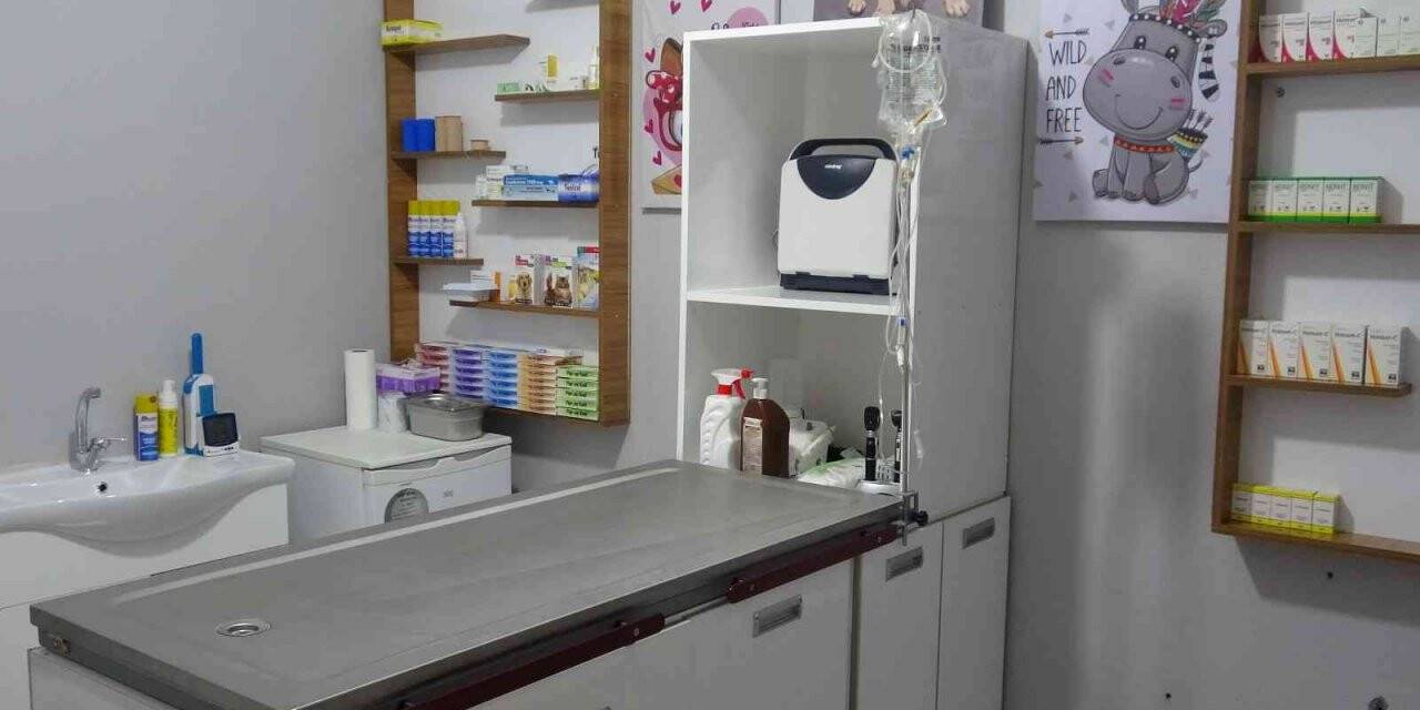 Mardin’in ilk hayvan hastanesi açıldı