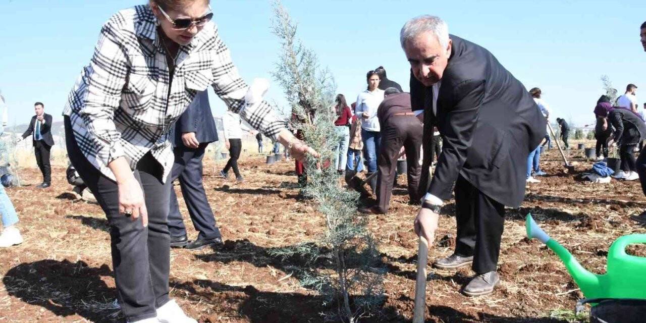 Kampüs alanına 3 yılda yaklaşık 10 bin fidan dikildi
