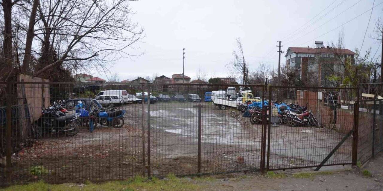 Yediemin parkından 25 araç çalındı