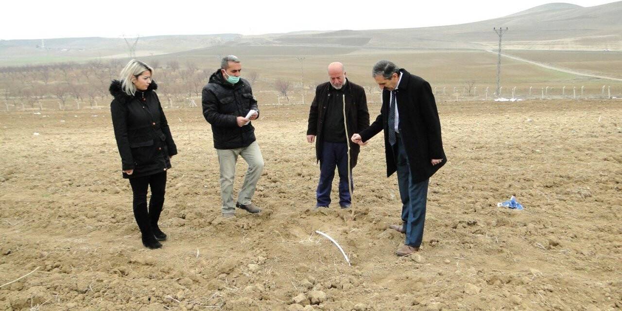 Kayısı fidanı üretimi 3 kat arttı