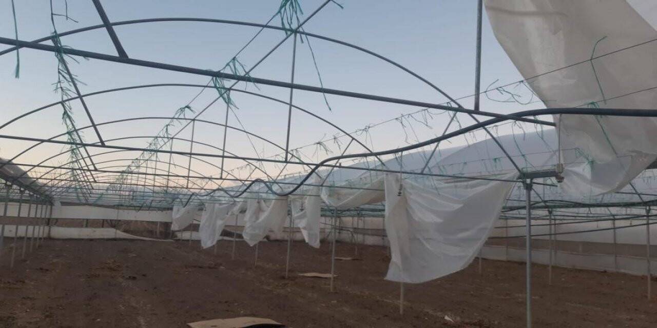 Eskişehir’de şiddetli lodos seralara maddi zarar verdi