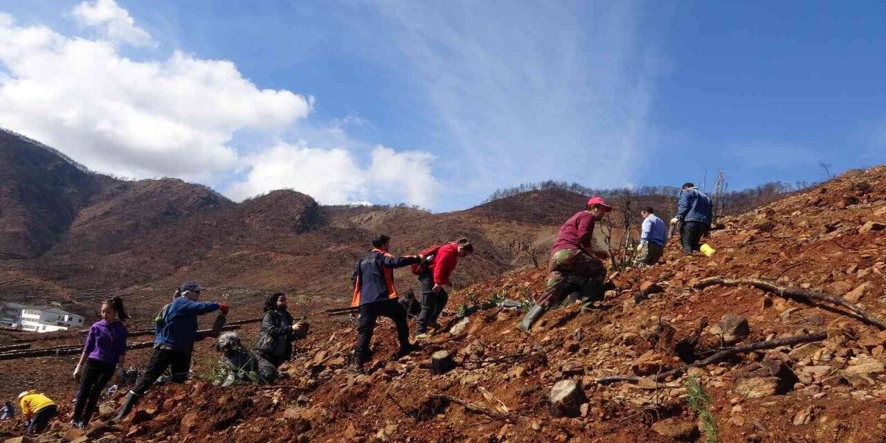 Marmaris’te gönüllüler fidan ve tohum dikimlerine devam ediyor