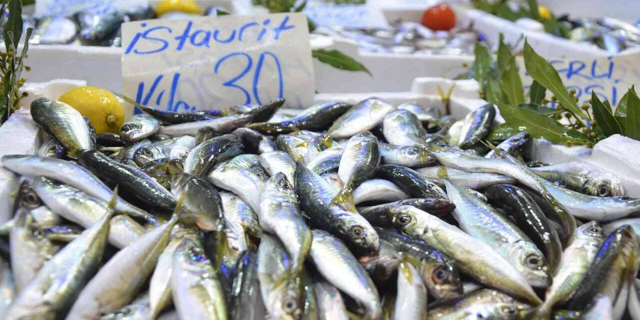 Balıkçı tezgahlarında durgunluk