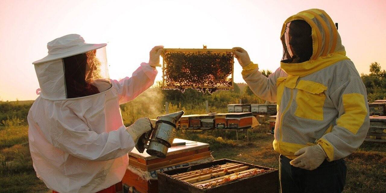 Daha güzel bir Sakarya için 72 yeni eser