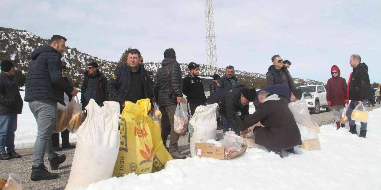 Konya’da ağır kış şartlarında doğadaki hayvanlar unutulmadı