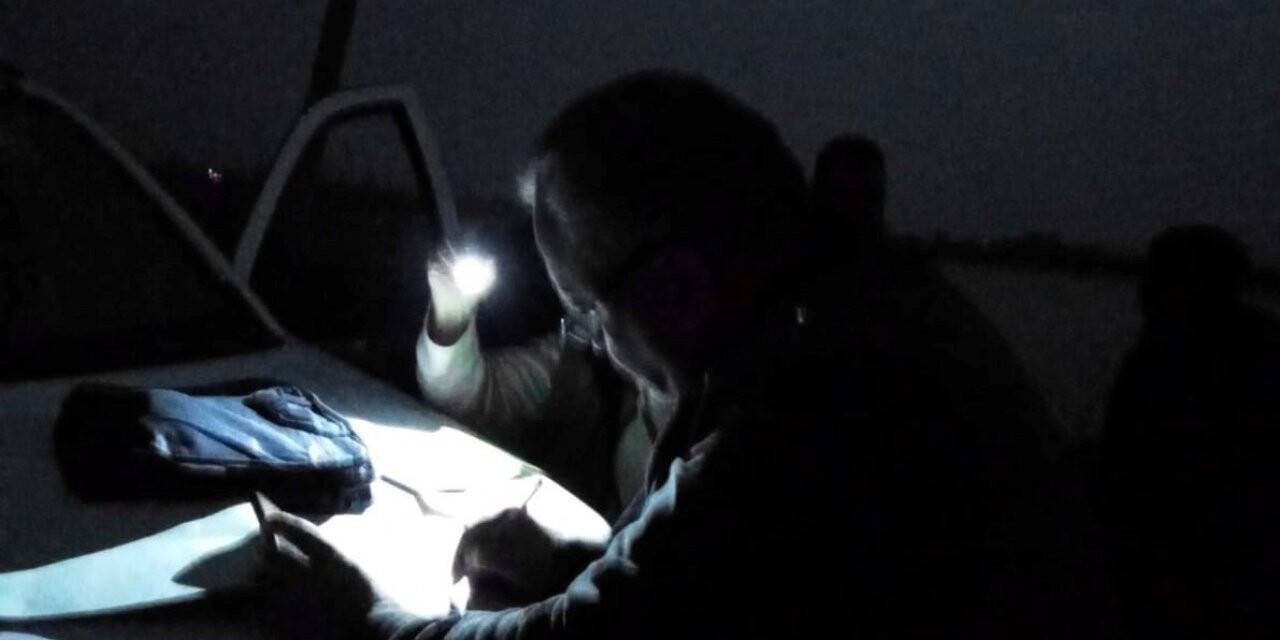 Aydın’da kaçak av denetimleri devam ediyor