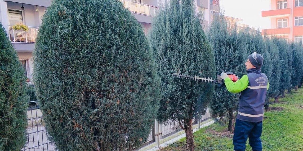 Körfez’de yeşil alanlar bakımdan geçiyor