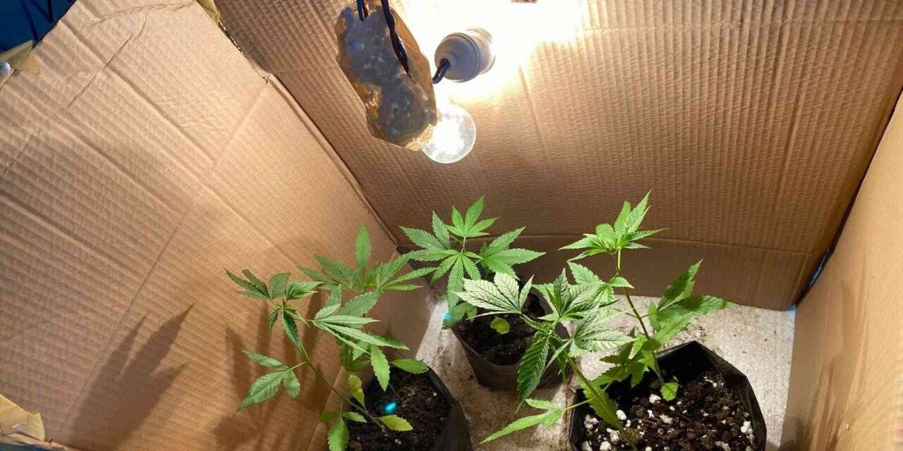 Karton kutuda uyuşturucu üretimine baskın