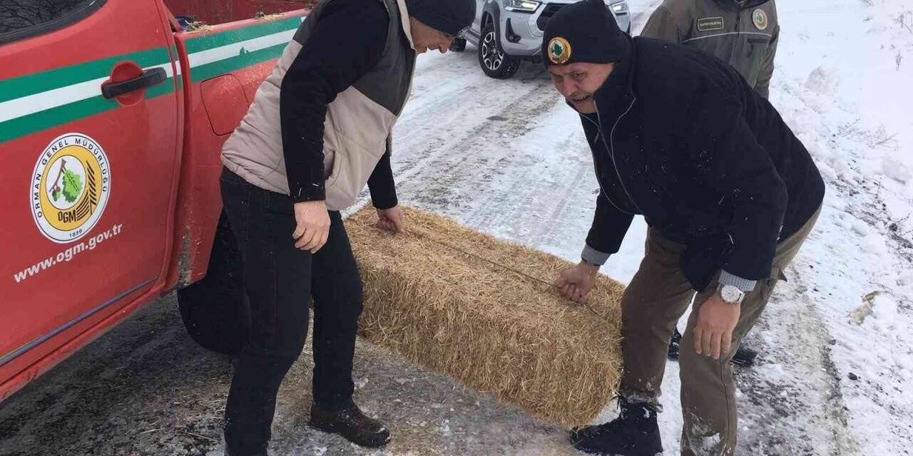 Yaban hayvanları unutulmadı