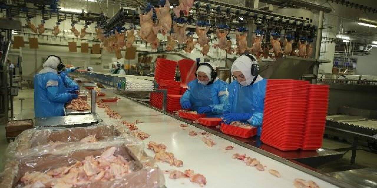Türkiye'de geçen yıl 2,2 milyon ton tavuk eti üretildi