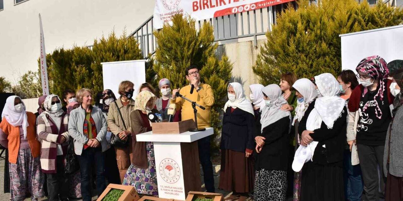 Yangın mağduru üreticilere yem desteği