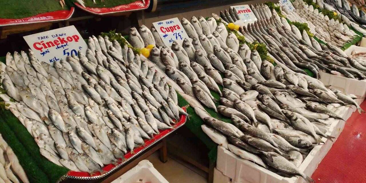 KDV indirimi balık tezgahlarına yansıdı