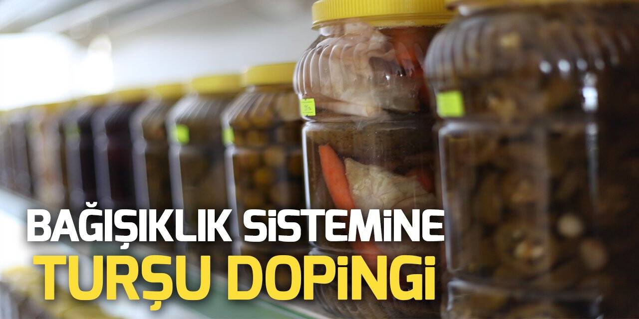 Bağışıklık sistemine turşu dopingi