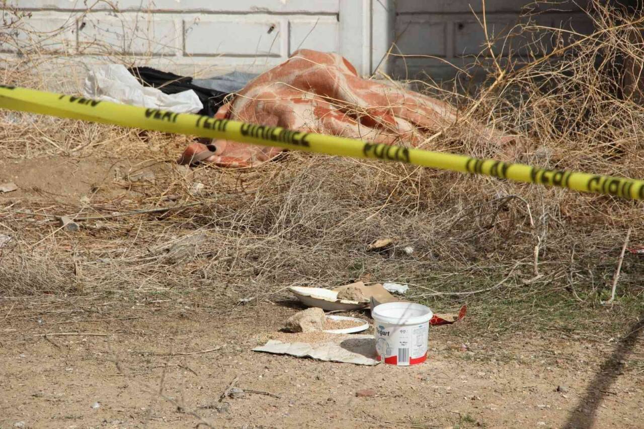 Köprü altında cesedi bulunan şahsın ölüm nedeni belirlendi