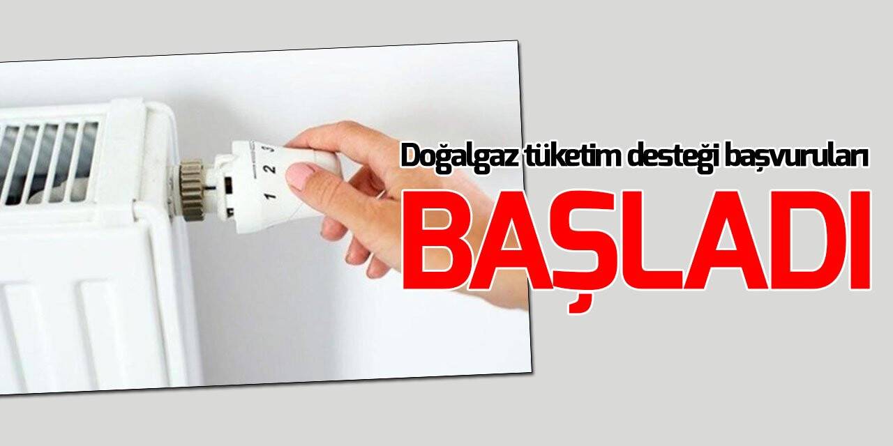 Doğalgaz tüketim desteği başvuruları bugün başladı