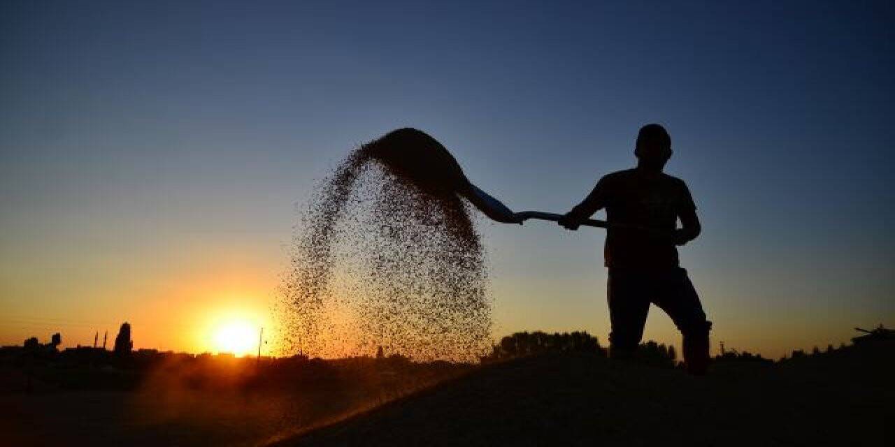 Kırsalda 200 binin üzerinde istihdam hedefi