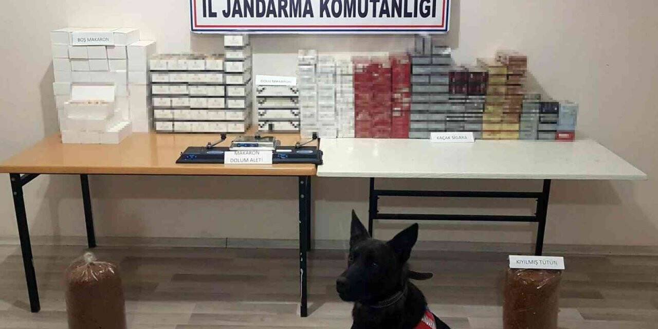 Samsun’da bin 187 paket sigara ve 16 bin dal makaron ele geçirildi