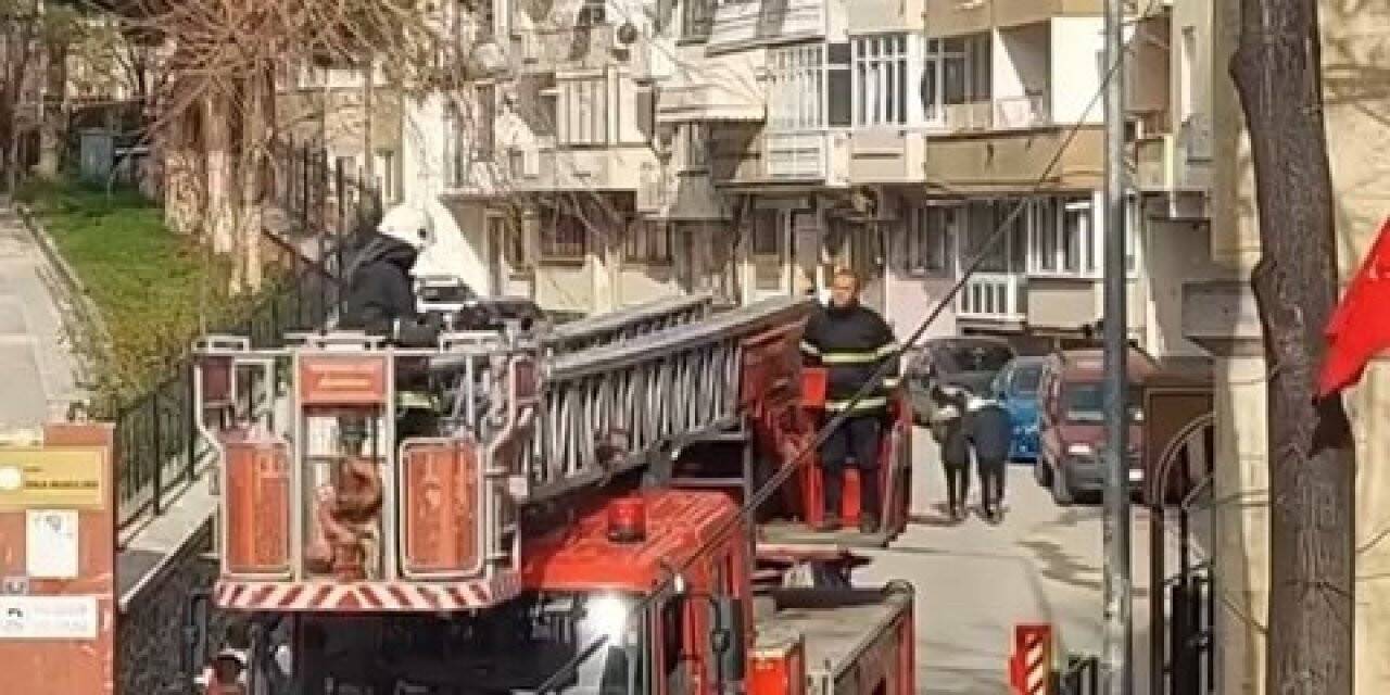 Bursa’da ağaçta asılı kalan kuşu itfaiye ekipleri kurtardı