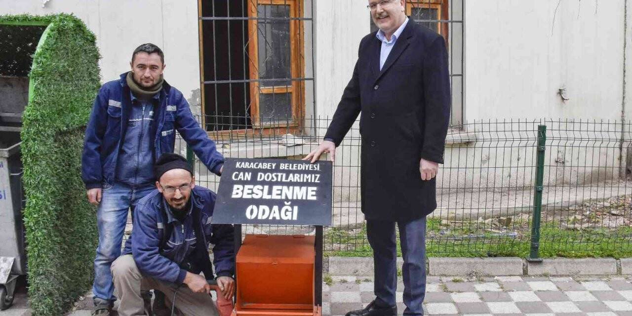 Karacabey’de sokak hayvanları sahipsiz değil