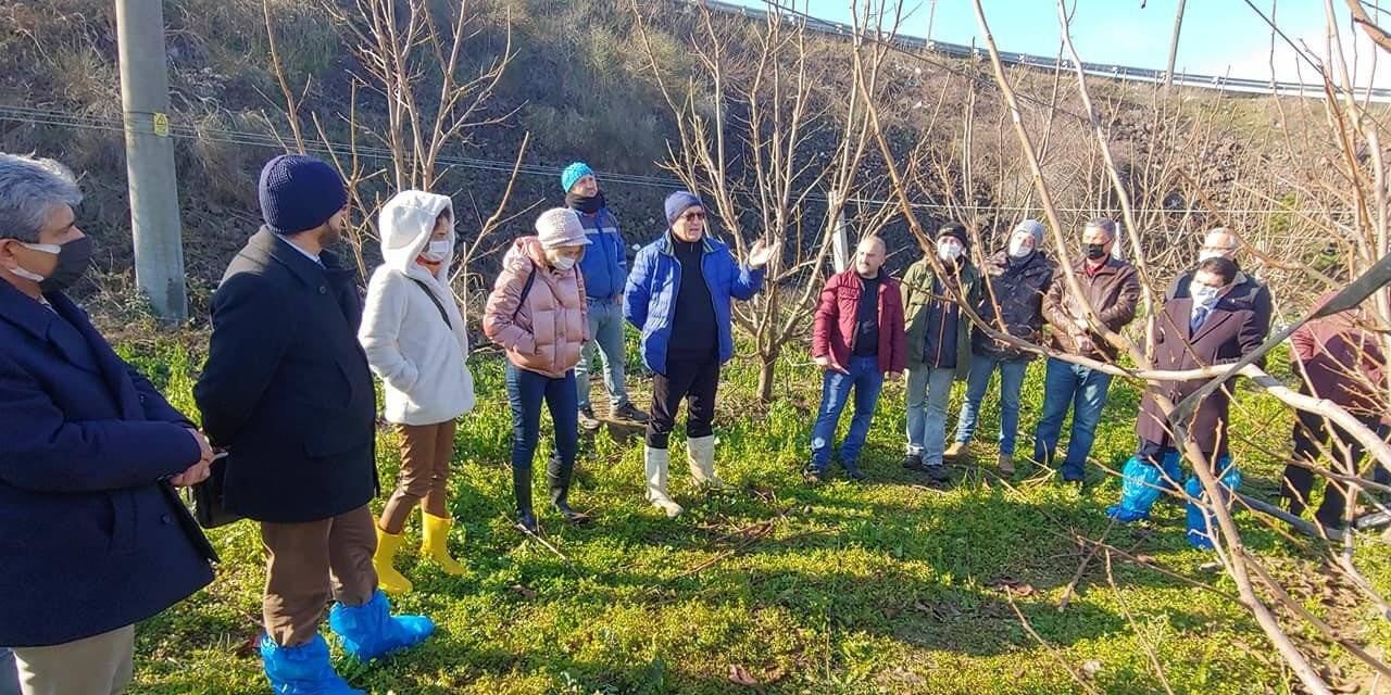 Altınova’da çiftçilere budama eğitimi