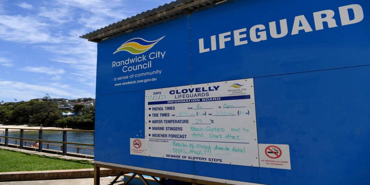 Sydney’de 1963’ten bu yana ilk ölümcül köpekbalığı saldırısı