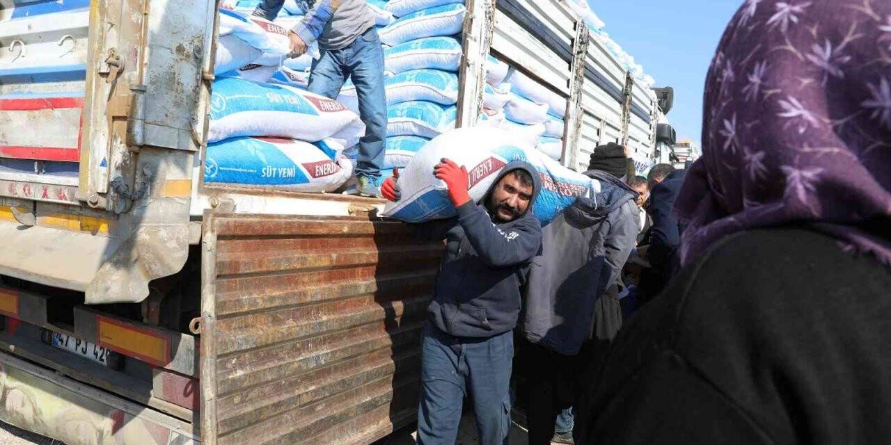 Besicilere yüzde 100 hibeyle 375 ton yem desteği