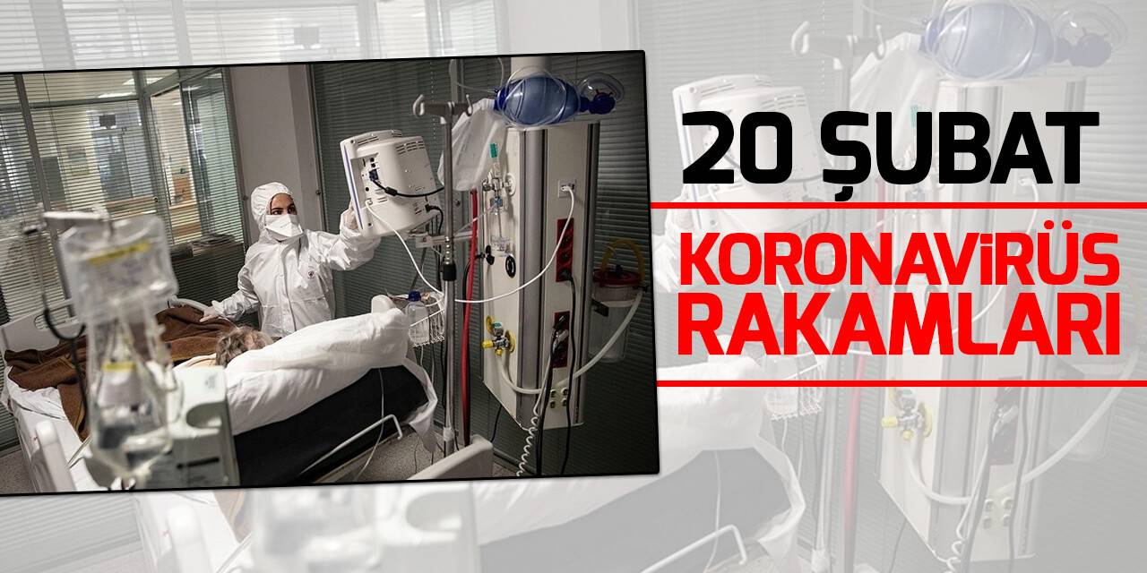 20 Şubat koronavirüs tablosu açıklandı!
