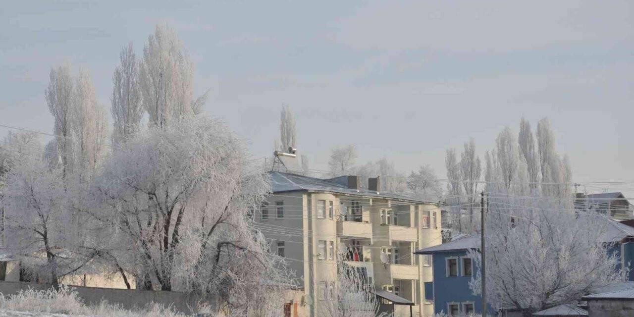 Kars buz kesti, ağaçlar kırağı tuttu