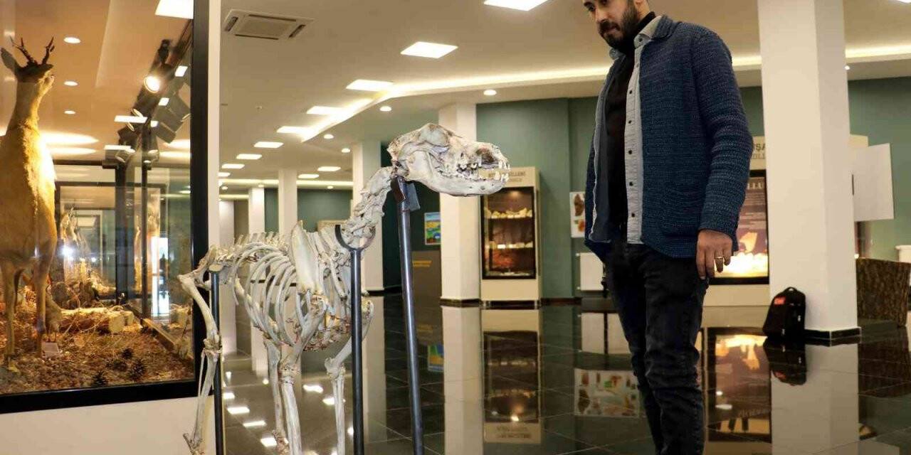 Türkiye’de ilk, ziyaretçilerini milyonlarca yıl öncesine götürüyor