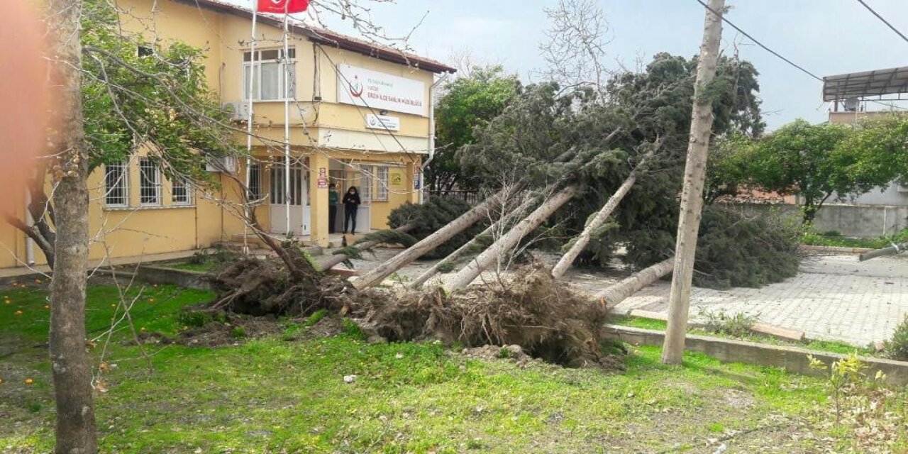 Hatay’da fırtına çatıları uçurdu ağaçları kökünden söktü