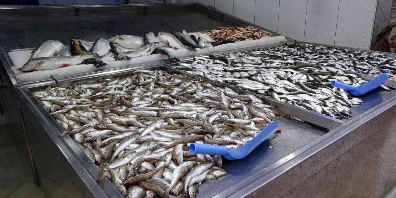 Hamsi tükendi, tezgâhlar istavrit ve mezgite kaldı