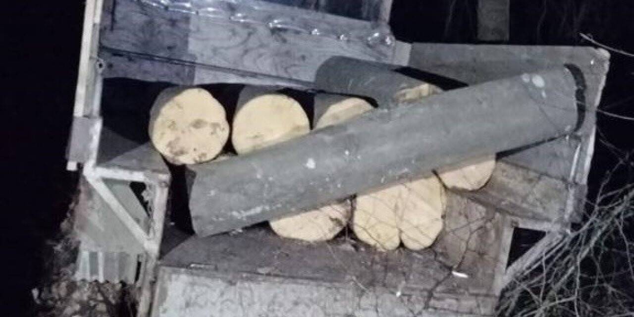 Tescilsiz tarım aletine yüklediği ağaçlarla yakalandı