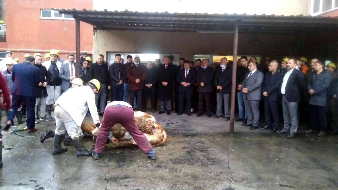 Amasra’da mekanize panoda üretime başlandı