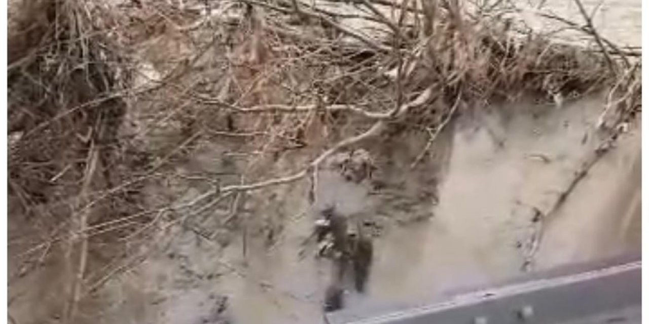 Nesli tükenme tehlikesi yaşayan su samurları nehirde görüntülendi