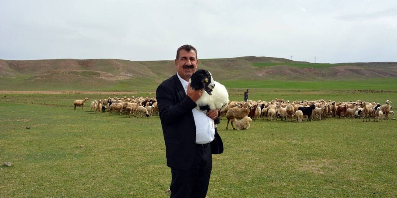 TÜDKİYEB Genel Başkanı Nihat Çelik, doğum sonrası kuzu ölümlerinin önlenmesi için yetiştiricilere uyarılarda bulundu