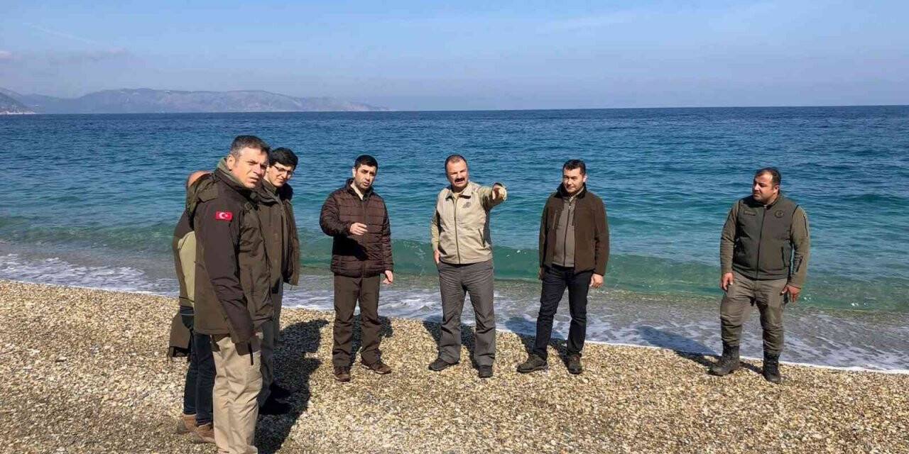 Dilek Yarımadası Milli Parkı’ndaki çalışmalar 01 Mayıs’ta bitecek