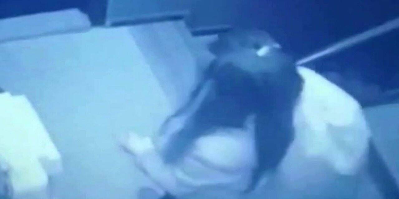 “Çuvallı” lakaplı hırsızın evinden 80 çift çalıntı ayakkabı çıktı