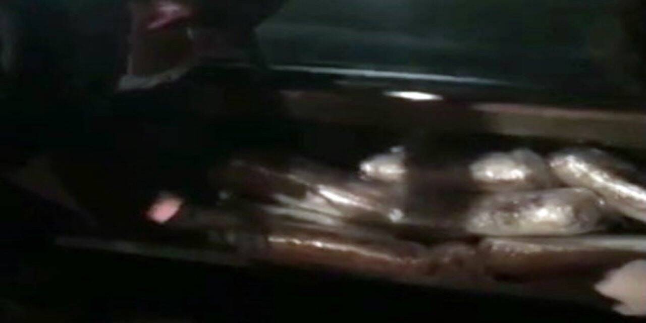 Piyasa değeri 1 milyon TL’nin üzerindeydi Sakarya’da ele geçirildi