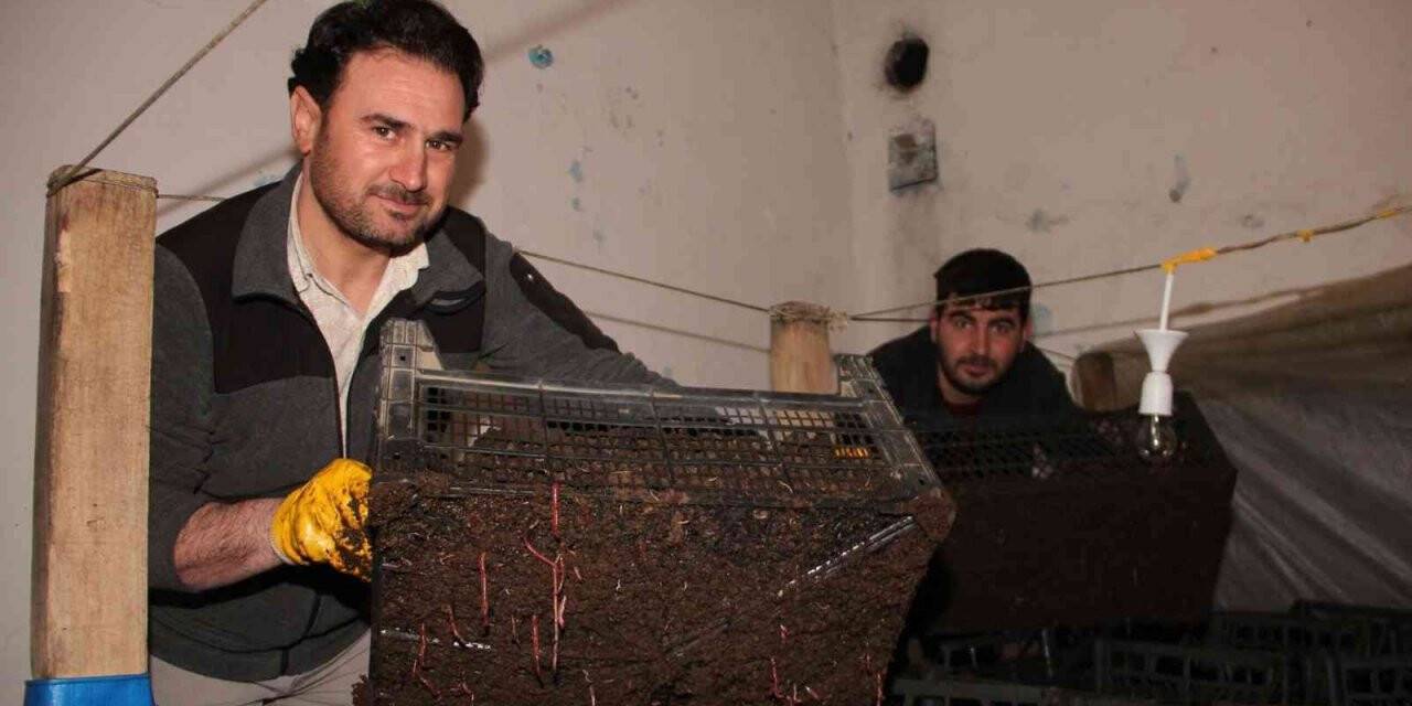 Dedesine ait iki katlı evde solucan gübresi üretiyor